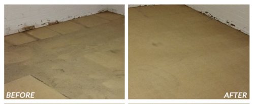 Carpet Structure Drying Melbourne