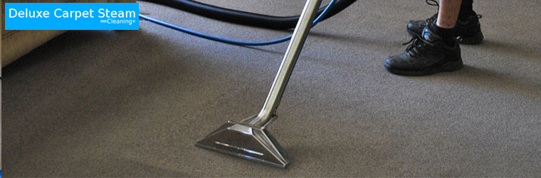 Professional End of Lease Carpet Cleaning Services