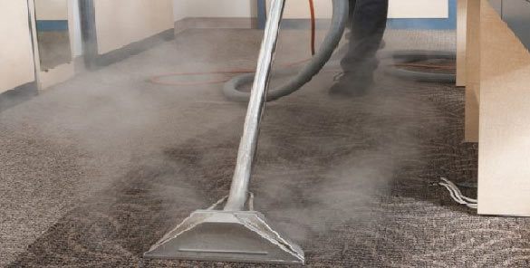 Best Carpet Steam Cleaning