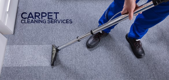 Carpet Cleaning Expert
